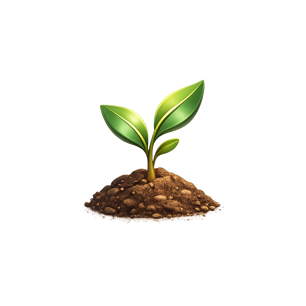 About Verdovia's plant care
